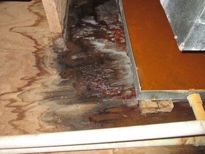 About water damage restoration service - burst pipe water damage experts in Richardson